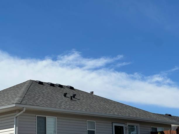 Best Hot Roofs  in Wellington, OH